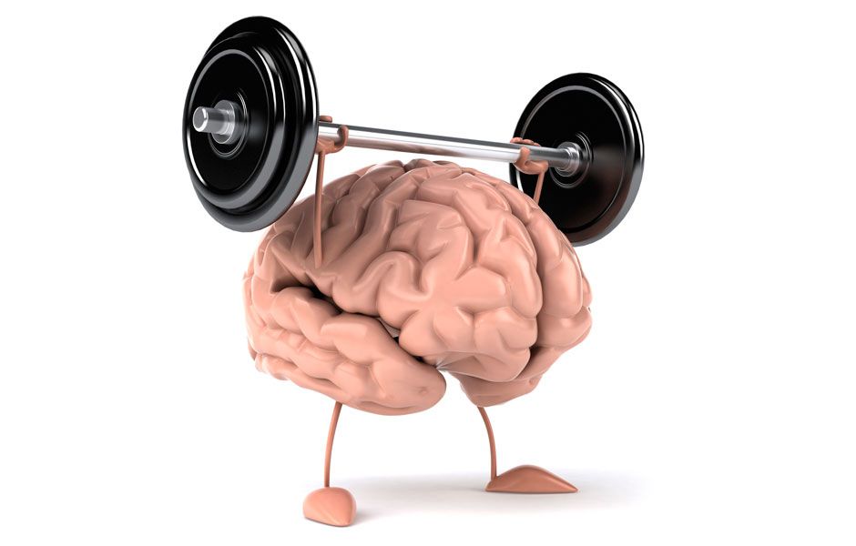 چگونه مغز را تغذیه کنیم؟ healthy brain food 4355646 - چگونه مغز را تغذیه کنیم؟