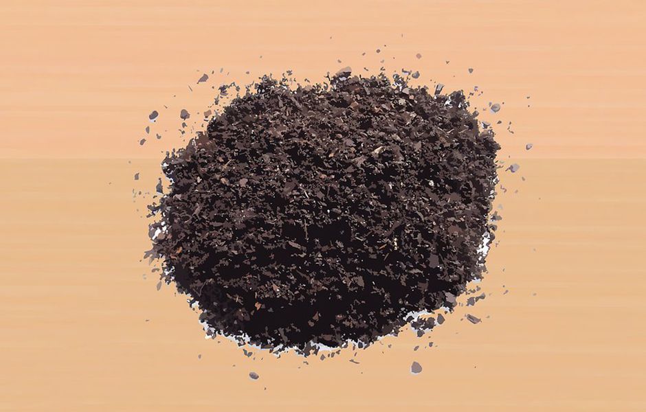 how to revive a dying aloe vera plant 353467674 - چگونه گیاه آلوئه ورا را احیا کنیم؟