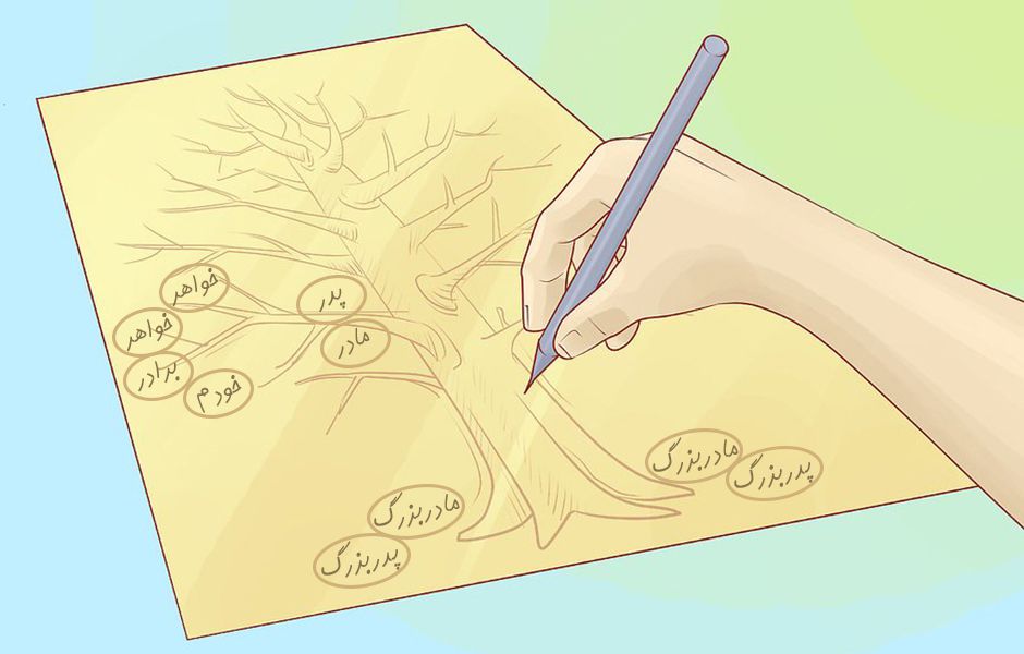 چگونه درخت شجره نامه خانوادگی بکشیم؟ how to draw a family tree 46547657 - چگونه درخت شجره نامه خانوادگی بکشیم؟