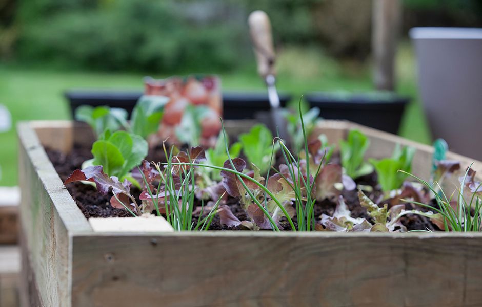 how to improve soil health 45676543 - چگونه خاک باغچه را تقویت کنیم؟