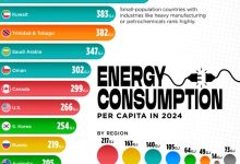 Energy Consumption per Capita in 2024 website Aug27 804x1024 1 220x150 - ضربه به کدام قسمت سر خطرناکه؟