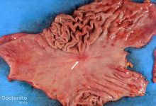 efduh1 220x150 - چگونه سرعت وای فای را افزایش دهیم؟